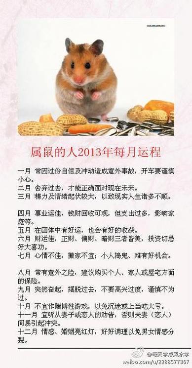96属鼠2025感情运 1996属鼠2025运势是什么意思？