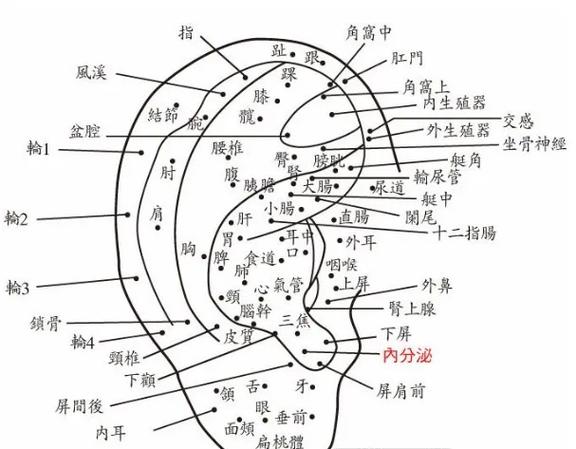 耳朵边上痣面相图 耳朵旁边痣的解析图