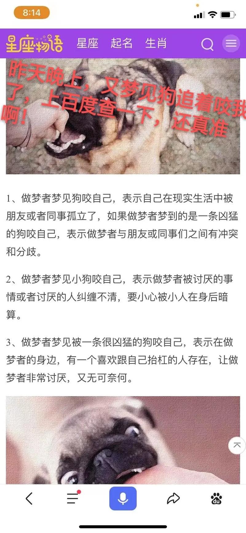周公解梦梦见被三只狗追 女人梦见狗追咬是吉兆