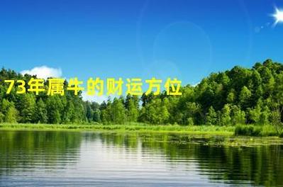 属牛73年幸运方位 1973属牛的人一生正财方位是什么意思？