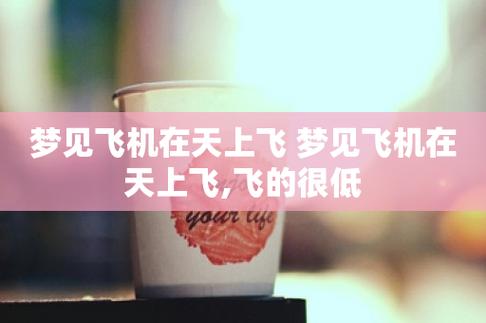 周公解梦飞机低 解梦飞机坠机