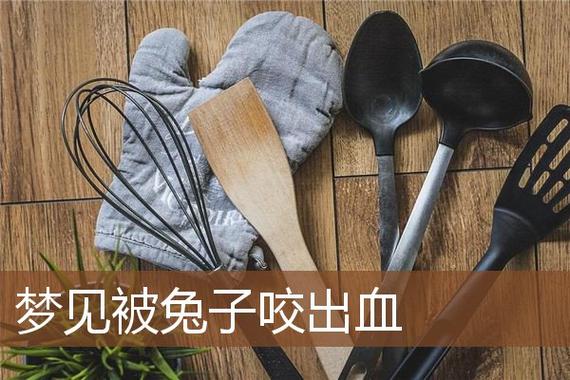 周公解梦被兔子咬 做梦被兔子咬了几口