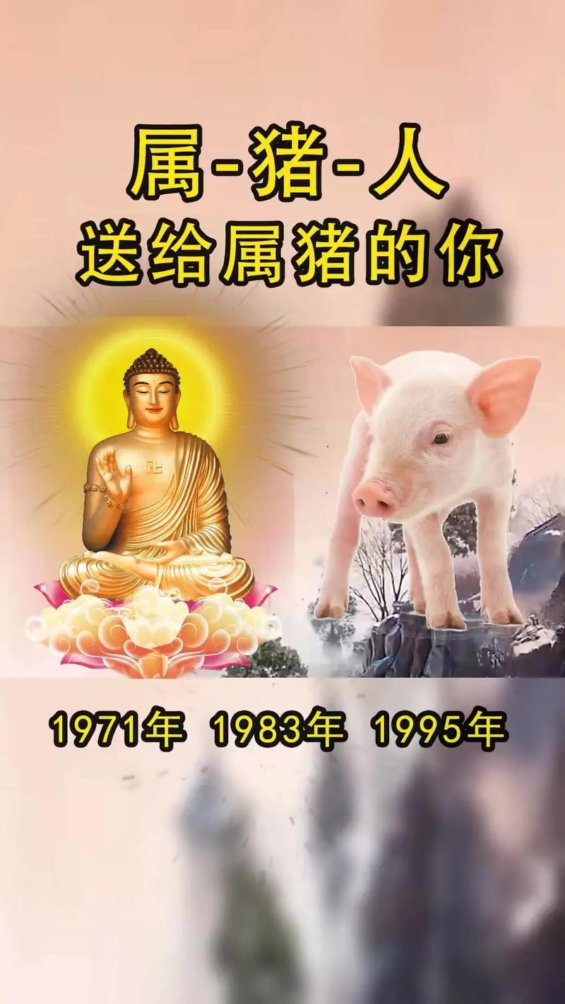 属猪什么时候财运最好 属猪人今日打麻将财运是什么意思？