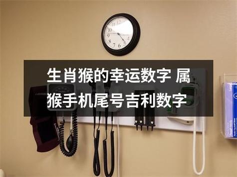 属猴人幸运手机号码 属猴的人手机号尾号是多少最好是什么意思？