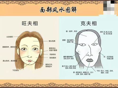 古代面相与现代面相的区别 猫耳面相和龙耳面相