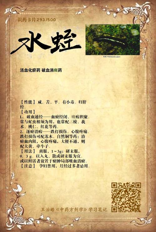水蛭周公解梦 梦见像水蛭一样的东西