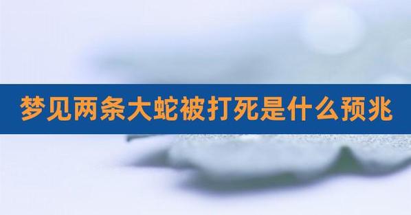 周公解梦梦到蛇被打死 女人梦见打死蛇好不好
