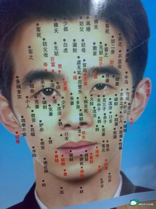 唇线分明的面相男 男士八字眉野生眉
