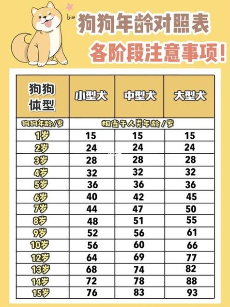 属狗男最佳结婚年份表 属狗男的最佳婚配排名是什么意思？