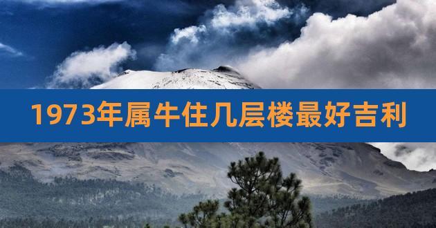 1973年属牛的幸运楼层 1973年属牛的幸运数字是什么意思？