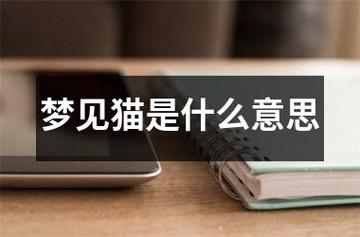 周公解梦能到小猫 周公原版解梦大全