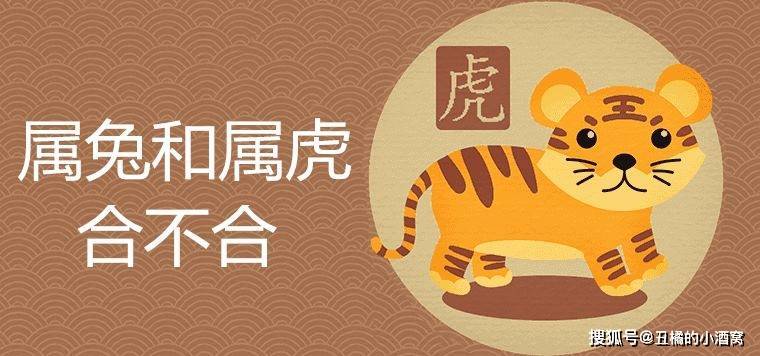 男属兔和属虎的合不合婚 属虎和属兔合婚是什么意思？