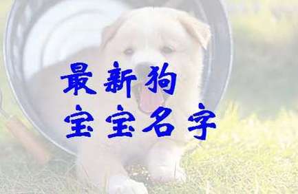 女狗宝宝五行缺木起名 缺火缺木的狗宝宝女孩子名字