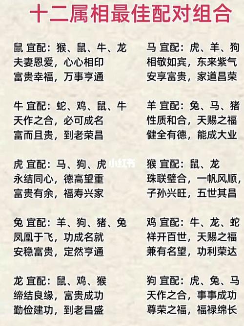 射手座属虎生肖配对男 属虎男射手座的桃花运