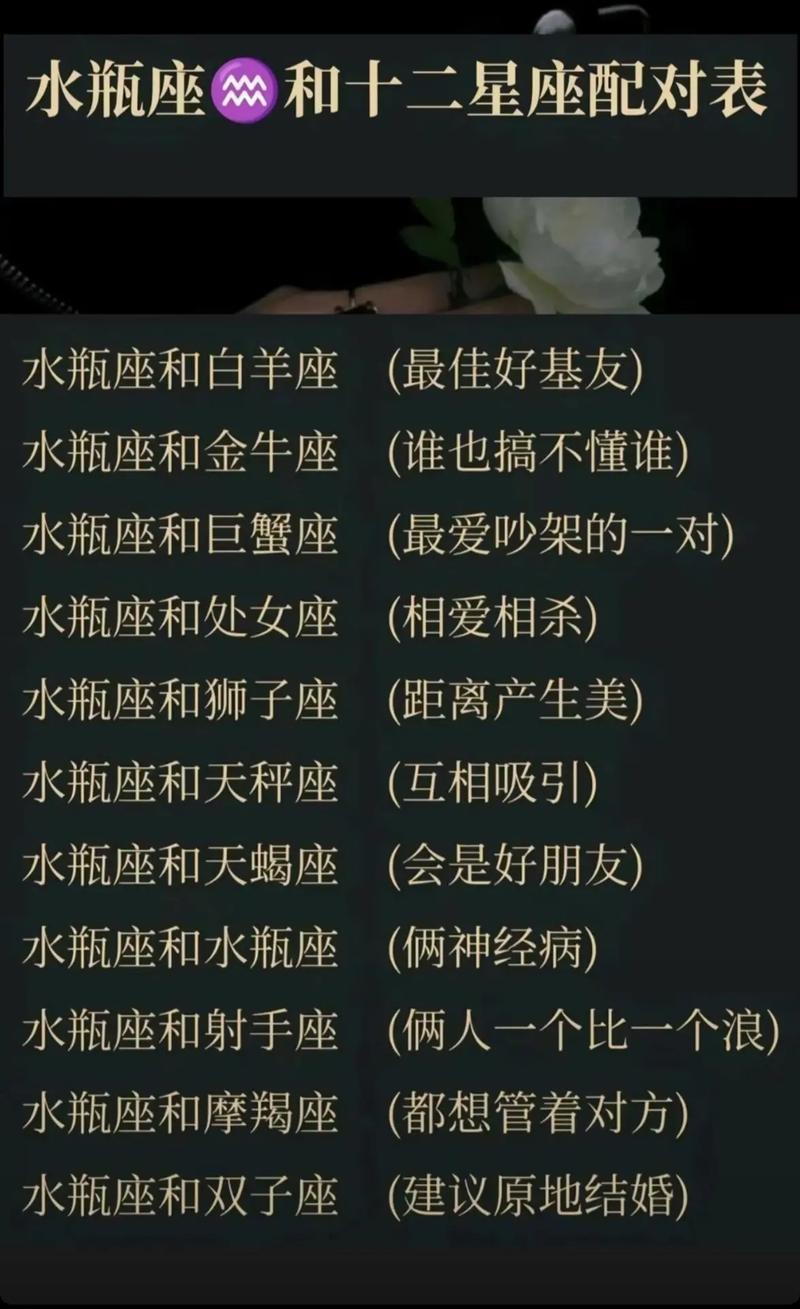 水瓶座配对星座排名图表 2025全新星座表