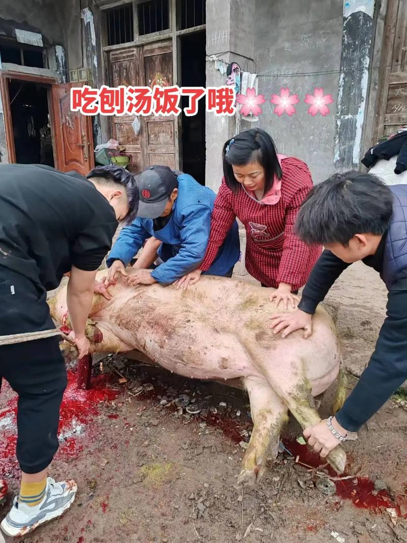 11月二十九日杀猪是什么吉日 11月杀猪吉日查询
