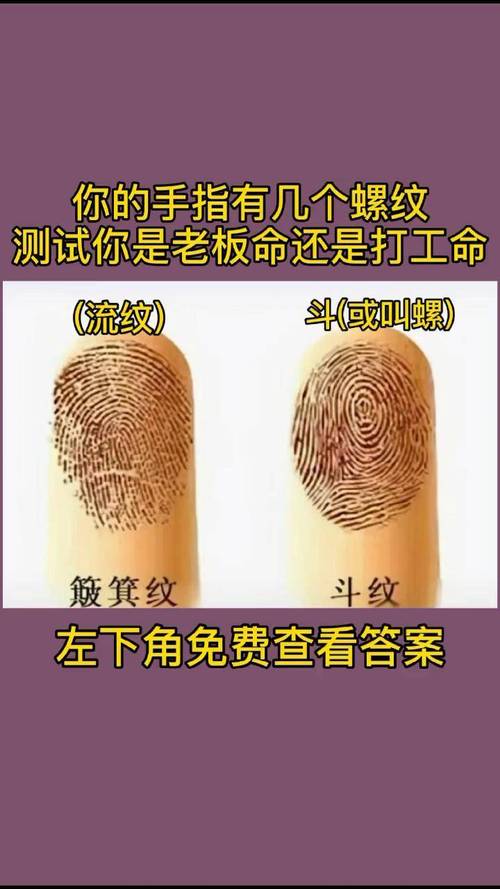手指螺纹算命 手指螺纹十个寓意